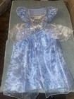 Five Disney Princess Dresses 