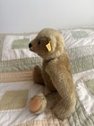 Antique Steiff 10    Mohair Teddy Bear Button In Ear Tag Western Germany 1950s