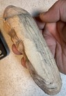       rr     Anasazi Artifact  Ergonomic Hand Tool Made From Petrified Wood  Ne Az 