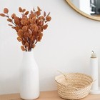 6 Pcs Artificial Eucalyptus Stems Fall Stems Tall Silver Dollar Eucalyptus Le   