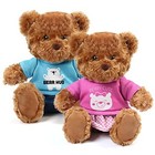  Brown Teddy Bear Stuffed Animal With Removable Clothes  2 Pack  10 Inch Plush 