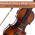 4 4 Full Size Acoustic   Electric Violin For Beginners   Professionals  Hand-car