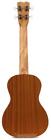 Cordoba Up100 Ukulele Pack - Natural