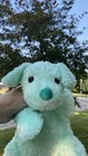 Ty Cuddlepup Mint Green Puppy  Dog Rattle Plush Animal Floppy Tysilk 2001 