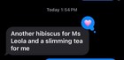 Slimming Tea Loose Leaf 3 2 Oz Organic