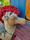 Antique Large Steiff Stuffed Straw Camel On Wheels Pull Toy 20  Tall