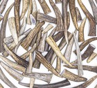 25 Deer   Elk Antler Tips Tines A Grade Only - Assorted Craft Antlers