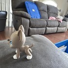 Lps Great Dane