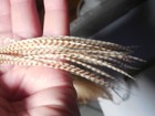 50 6-9  Ginger Whiting Grizzly Rooster Saddle Hackle Feather Hair Extensions