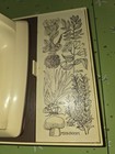 Vintage Sears Counter Craft Wall Mount Hand Mixer Herbs Mushrooms Mushy Works 