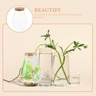 Glass Display Bottles Glass Jar Terrarium Table Centerpieces