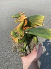 Three Headed Dragon Statue