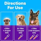 3 Pack Freedom Joint Drops For Dogs glucosamine    Chondroitin  30ml Dropper us