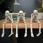 Skull Statues Set Resin Skeleton Shelf Sitters Sitting Figurines For Home Boo   