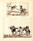 Antique Saluki Print Vintage Diana Thorne Saluki Wall Art Decor 6887l