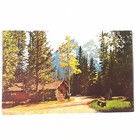 Cottages Jenny Lake Lodge Wyoming Vintage  Travel Postcard P135