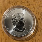 2019 1 Oz Canadian Silver Maple Leaf Coin  bu 
