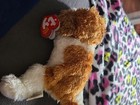 Rare     Ty Beanie Baby Sampson Dog Fluffy  new Condition   Mistake
