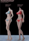 Tbleague Phicen 1 6 Steel Skeleton Female Seamless Girl Body S34a S35a New    usa   