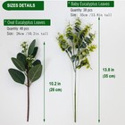 86pcs Mixed Eucalyptus Leaves Stems Bulk Silver Dollar Eucalyptus Stems Faux    