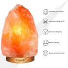 100 genuine Himalayan Salt Lamp Crystal Pink Rock Salt Lamp Natural Healing
