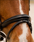 Kl Select Snaffle Horse Bridle W  Removable Flashing Brown Leather No Browband