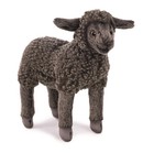 Hansa Sheep Lamb Plush 17cm Realistic Stuffed Animal Toy  Bh4561