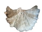 Fashions By Nita Smith Square Dance Petticoat Skirt White Tutu Vtg Swing Western