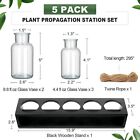 Hydroponic Glass Vase Propagation Station Wood Propagation Plant Desktop Decor