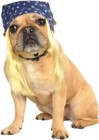 Pet Dog Bandana With Hair Wig Rubies Pet Shop Halloween Costume Small medium
