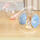 Hamster Sports Ball Small Pet Toy Car Pet Toy Car Exercise Wheel Running Ball