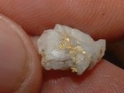 Natural Gold Quartz Specimen  56 Gram Blue Mtns Oregon Gold