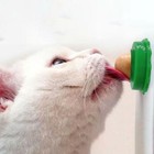 Healthy Cat Snacks Catnip Sugar Candy Licking Nutrition Ball Energy Toy Q2k0