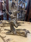 Brass Deer Figurines   Pair Of 2