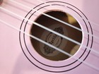 Apelila 21  Acoustic Ukulele Pink Color With Soft Case  Thumb Guards  Pick