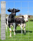 4 5 6 Ft X 164 328 Ft Farm Fence Galvanized Steel Cattle Fence Animal Protection