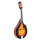 Ktaxon  8 Strings Mandolin Bundle Kit   Tuner String Gig Bag Picks With Bag
