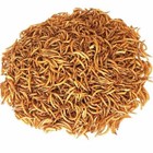 Wholesale Bulk Dried Mealworms For Birds Chickens Fish Turtles Hamster Pet Food