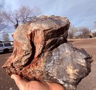       rr        Solid Gorgeous Agate druzy Arizona Petrified Wood  16 5 Lb      