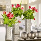 Dublin Silver Decorative Tray And Orbs Balls Set - Centerpiece Bowl With Balls