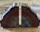 Arizona Petrified agatized Wood Bookends Polished Rock 5 5lbs