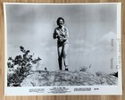 7 Panic In Year Zero   1962  Original Movie Still Lot Censor Stamped Ray Milland