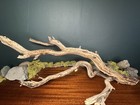 Large 23    Manzanita Driftwood Branch  Aquarium  Terrarium  Aquascape  home Decor
