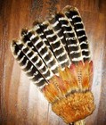 Large Ceremonial Barred Turkey Native American Smudge Fan Antler 18 5 