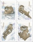 2021 Usps Otters In Snow Forever Stamps Scott  5648-5651-mnh- 100 Pcs Stamps