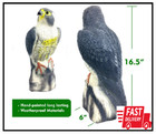 Giftexpress 16 5  Scarecrow Eagle Fake Hawk Decoy Statue  Pest Repellent  Bird C