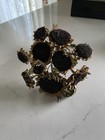 Prim Sunflowers   Dried Flower Bunch Bouquet Bundle Usa Grown Sun Flowers Auc 1