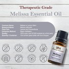 Melissa Essential Oil 100  Pure Natural Premium Therapeutic Grade Undiluted
