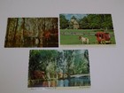 Holiday Inn  2 Greenville South Carolina   Charleston Postcard Lot Vintage Color