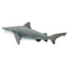 Bull Shark Animal Figurine Safari Ltd  Toy Sea Life Collection